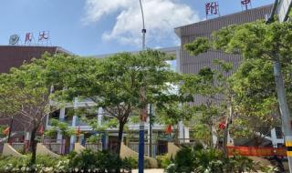 中央民族大学附属中学
