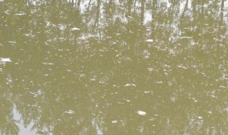 阳光总在风雨后歌词