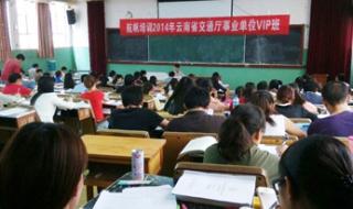 红河州事业单位报名人数