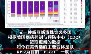 广东发现新冠新毒株KP